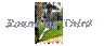 A baseball player swinging a bat
Description automatically generated